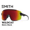 SMITH スミス ワイルドキャット サングラス 【 SMITH WILDCAT 】 スノーボード ゴーグル スノボ GOGGLE BIKE 自転車 SUNGLASS Matte Black