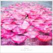 Aimer / Ref：rain／眩いばかり（初回生産限定盤／CD＋DVD） [CD]