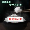 宮城県産ササニシキ