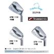 kasco（キャスコ） DOLPHIN WEDGE / DRW-119 39度 / DPW-119 48度 