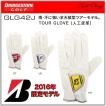 限定モデル!! 2016...