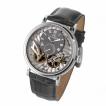 腕時計 スケルトン メンズ 自動巻 ドイツ製 ドイツ時計 雑誌モデル CvZ カール・フォン・ツォイテン CarlvonZeyten CvZ0017SGY