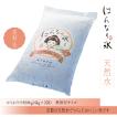 京都桂川はんなり氷  中粒  ８kg(4kg×２袋入)　お酒本来の味を楽しめる天然水仕込みの氷　お酒用氷　業務用氷　かちわり氷  ぶっかき氷　ロックアイス