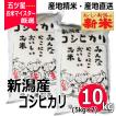 令和７年産 新米