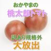 トマト桃太郎 3kg 送料無料 訳あり規格外品 岡山びほく産