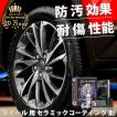 ホイール コーティング剤 洗車セット セラミックコーティング 鉄粉除去剤 3年 保護 耐久 9H HIKARI ALLOY STAR