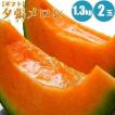 【予約】 夕張メロン 1.3kg× 2玉 メロン 北海道 北海道産 赤肉 フルーツ 果物 生育状況により6月下旬~7月上旬より予約順に発送
