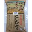 令和5年産 新米  自然農法米特別栽培米 こしひかり 食用玄米 10kg  「自然の恵み」  加賀百万石 コシヒカリ　お米