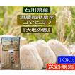 令和5年産 無農薬栽培米 こしひかり 白米 10kg お米  自然農法  「大地の恵」