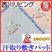 シングル 西川リビン...