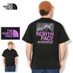 ザ ノースフェイス Tシャツ 半袖 THE NORTH FACE メンズ ハーフ スウィッチング ロゴ ( Half Switching Logo S/S Tee 2024春夏 NT32458 国内正規 )[M便 1/1]