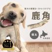 【ペット館】中型犬〜大型犬用｜首輪