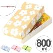 折り畳みランチボックス　一段　800ml　ネイチャー　日本製　スリム （ お弁当箱 ランチボックス サンドイッチケース ）