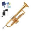 Bach / TR-600 バック...