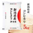 精米 コシヒカリ 新潟コシヒカリ 5kg 新潟県産コシヒカリ こしひかり お米 送料無料 令和5年産 伊丹米 ギフト  熨斗承ります