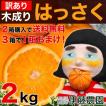和歌山産「訳あり」木...