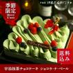 クリスマスケーキ 宇...