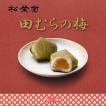 餞別 お菓子 松栄堂 献上 田むらの梅 岩手銘菓 お土産 ギフト 梅餡 田村の梅 梅