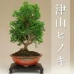 送料無料(限定16本) ...