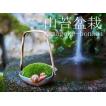 【送料無料】 山苔盆...