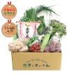 まんさいかん旬の野菜仕送りボックスミニ＋金芽米2キロセット(送料・クール便代込)