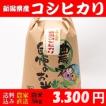 お米 5kg 白米 送料無料 新潟県糸魚川産 コシヒカリ 令和3年度産