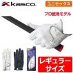 KASCO キャスコ Silky...
