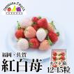 福岡産・紅白苺(あま...