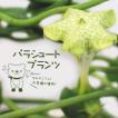 おもしろ多肉植物!パ...