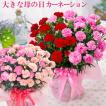 母の日 プレゼント 大きな カーネーション 花 ギフト 鉢植え 2色咲き 6号鉢サイズ 2024年
