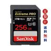 スイッチ sdカード SanDisk 256GB SDXCカード サンディスク SDカード Extreme Pro UHS-I U3 V30 4K R:170MB/s W:90MB/s SDSDXXD-256G-GN4IN