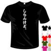 ドラマ陸王 こはぜ屋の半纏風トンボTシャツ バックプリント 送料無料