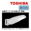 防犯灯(小さな街路灯) 東芝 LEDK-78977N-LS1 格安 堅牢 10VAクラス 取付金具別売