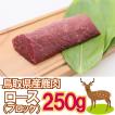 【ポイント5倍】 鹿肉 ロースブロック 250g ジビエ 鳥取県 智頭 産 高たんぱく 低脂肪