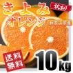 訳あり きよみオレン...