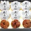 【送料無料】　塩紀州南高梅（みなべ産）　「華撰」　(50g×9パック入り)　