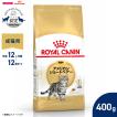 ロイヤルカナン（ROYAL CANIN） 猫 キャットフード メインクーン専用