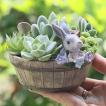 鉢 植木鉢 ポリ製 多...