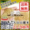 玄米 特別栽培米 コシヒカリ 鳥取県 奥大山 の水で育ったお米 選別済 5kg 2袋 令和5年産