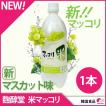 新マッコリ 麹醇堂 米...