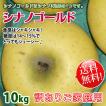 シナノゴールド 訳あり 送料無料 長野県産 家庭用 約10kg