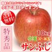 サンふじ 10kg 32-36玉 小玉 特秀 ギフト 送料無料 長野リンゴ