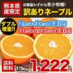 送料無料 訳ありネー...