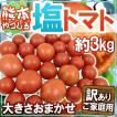 【送料無料】熊本県や...