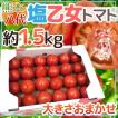 【緊急スポット】熊本...