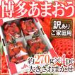 【送料無料】福岡産博...