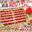 産地厳選 ”夏いちご...