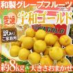 【送料無料】愛媛県 ...