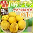 【送料無料】”完熟国...