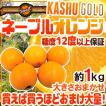 【送料無料】”カシュ...